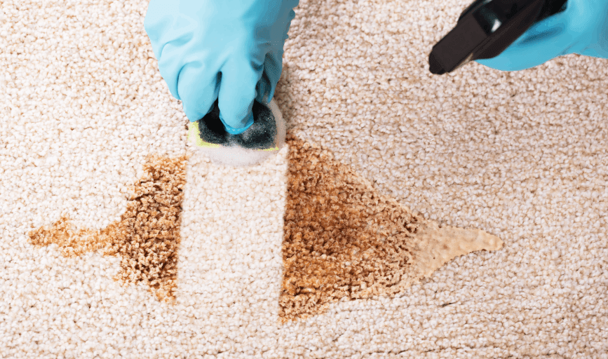 Deep Cleaning